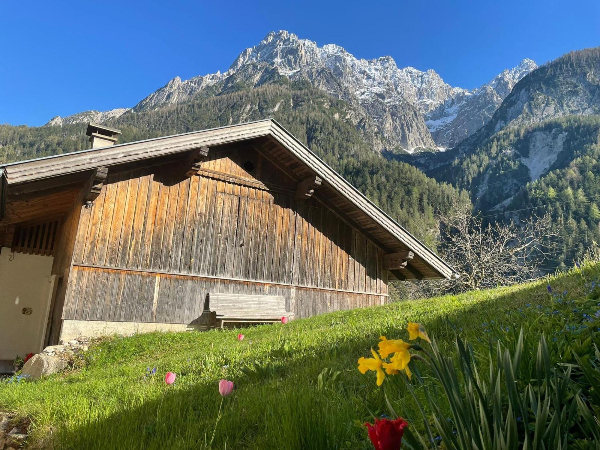Вілла Klausmoarhof Leisach Екстер'єр фото
